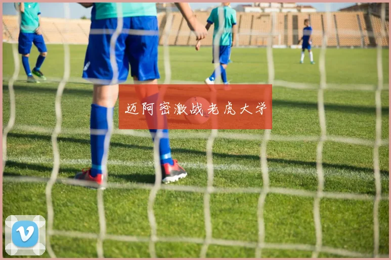 迈阿密激战老虎大学