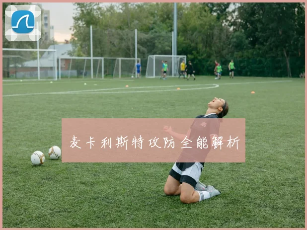 麦卡利斯特攻防全能解析