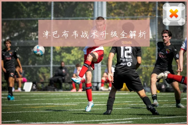 津巴布韦战术升级全解析