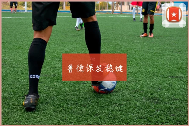 鲁德保发稳健