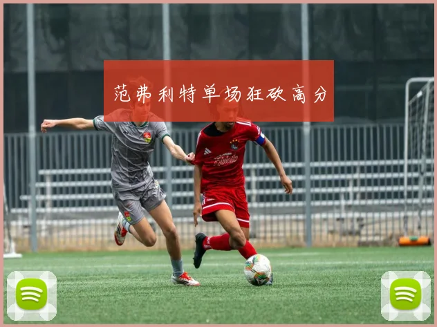 范弗利特单场狂砍高分