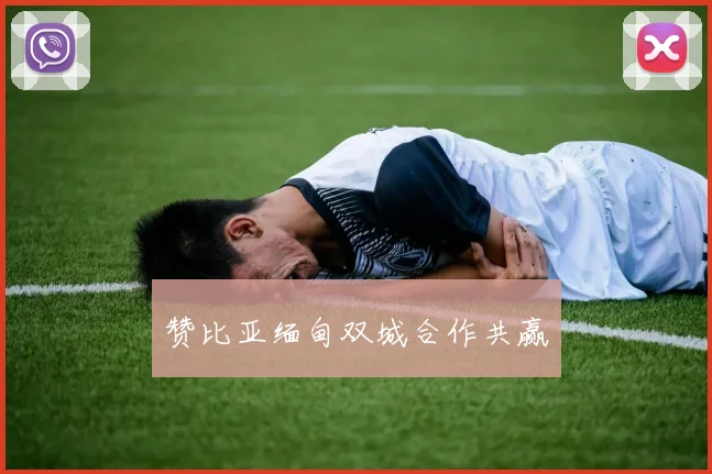 赞比亚缅甸双城合作共赢