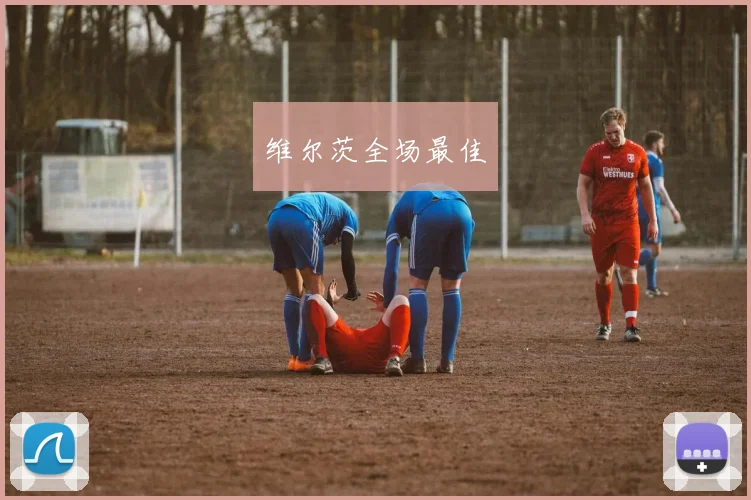 维尔茨全场最佳