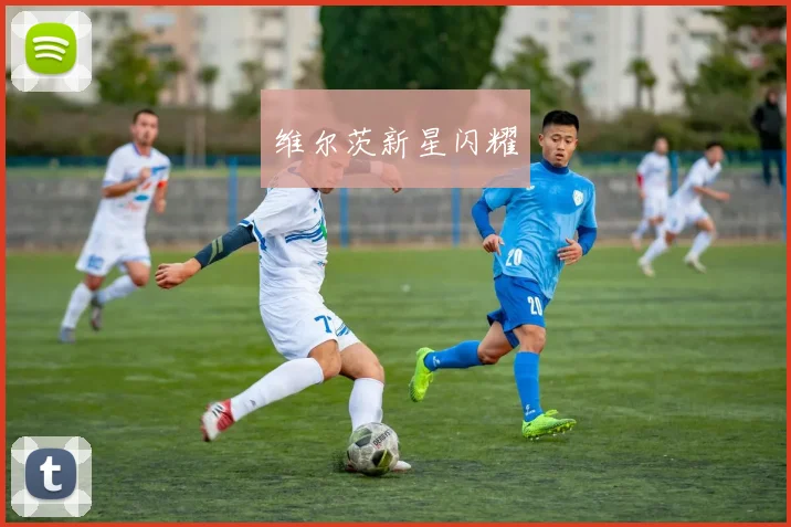 维尔茨新星闪耀