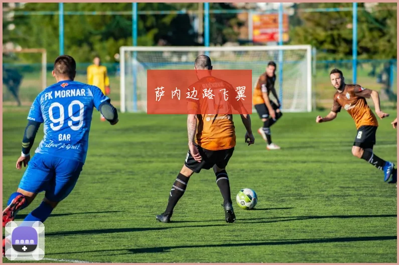 萨内边路飞翼
