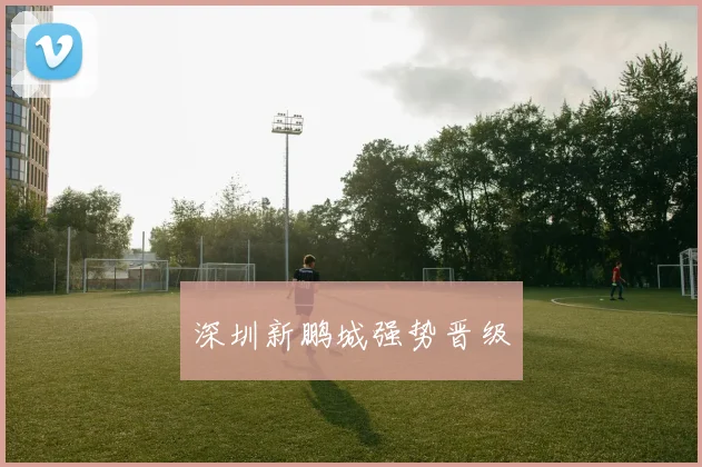 深圳新鹏城强势晋级