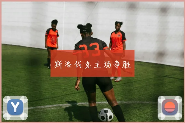 斯洛伐克主场争胜