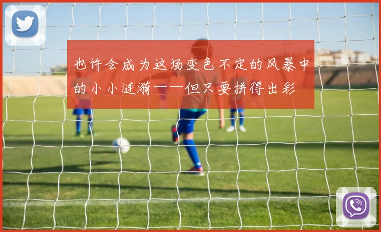 也许会成为这场变色不定的风暴中的小小涟漪——但只要拼得出彩