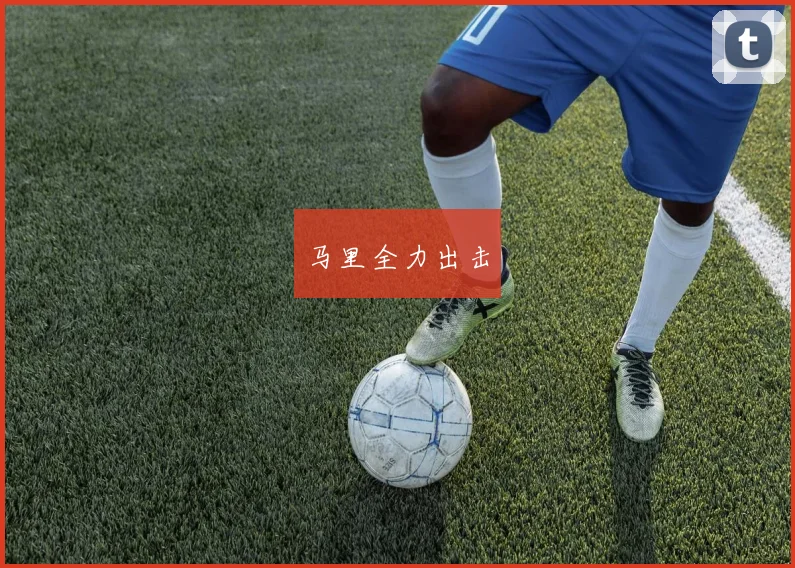 马里全力出击