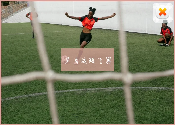 罗马边路飞翼