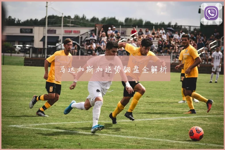 马达加斯加逆势翻盘全解析