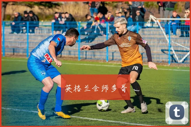 英格兰会师多哥