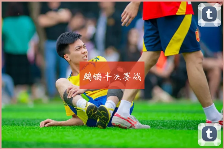 鹈鹕半决赛战