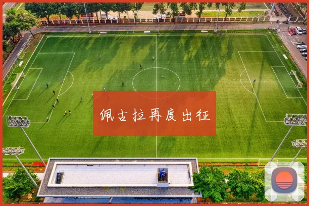 佩古拉再度出征