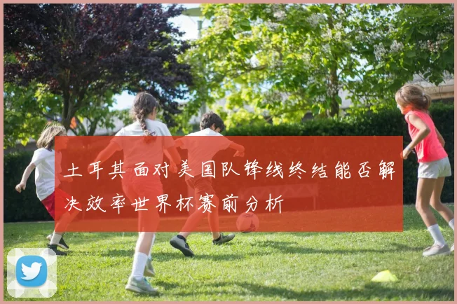 土耳其面对美国队锋线终结能否解决效率世界杯赛前分析