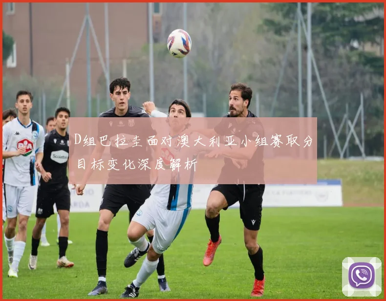 D组巴拉圭面对澳大利亚小组赛取分目标变化深度解析