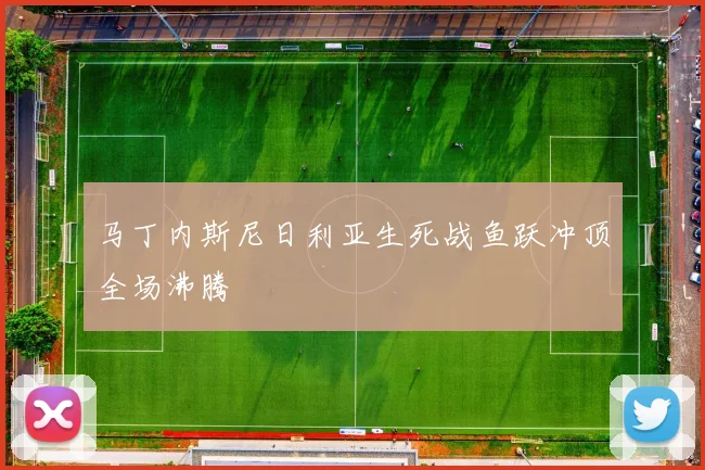 马丁内斯尼日利亚生死战鱼跃冲顶全场沸腾