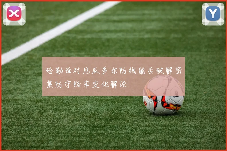 哈勒面对厄瓜多尔防线能否破解密集防守赔率变化解读